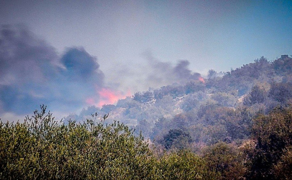 ΠΥΡΚΑΓΙΑ ΣΤΗ ΒΟΙΩΤΙΑ. Δευτέρα 21 Αυγούστου 2023 (EUROKINISSI)