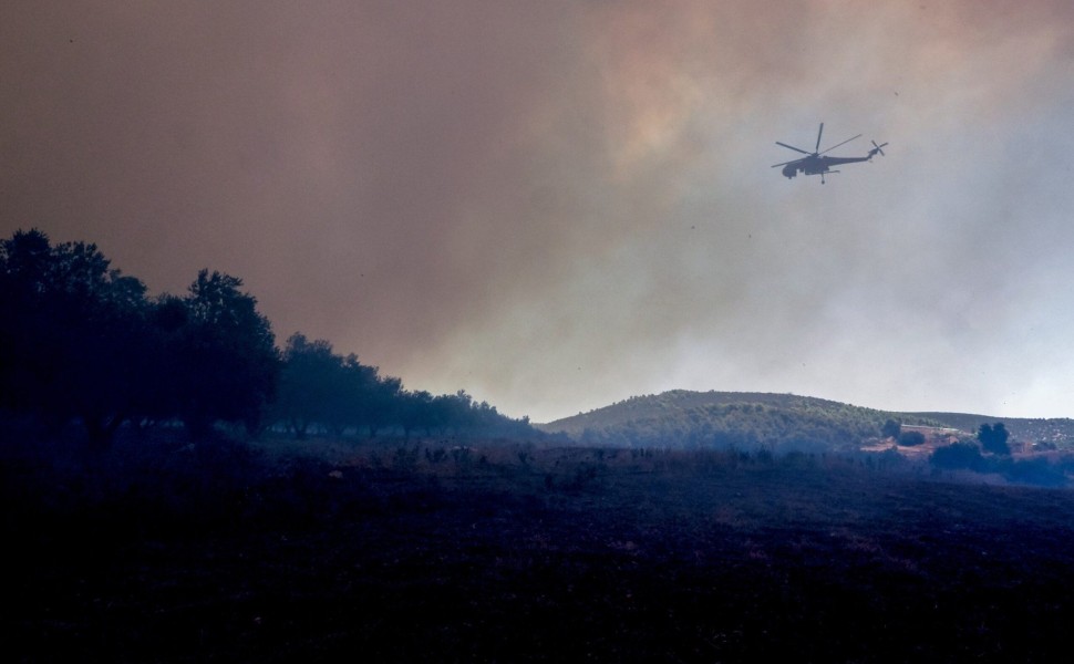 ΠΥΡΚΑΓΙΑ ΣΤΑ ΨΑΧΝΑ ΕΥΒΟΙΑΣ. Δευτέρα 21 Αυγούστου 2023 (ΘΟΔΩΡΗΣ ΝΙΚΟΛΑΟΥ / EUROKINISSI)