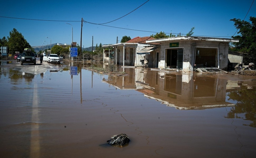 Καθώς τα νερά υποχωρούν, αλλά και μέσα στα στάσιμα που σε πολλές περιοχές δεν έχουν ακόμα υποχωρήσει, τα χιλιάδες νεκρά ζώα που βρίσκονται σε όλες τις πληγείσες περιοχές του Θεσσαλικού κάμπου, είναι υγειονομική βόμβα για τους κατοίκους αυτών των περιοχών,