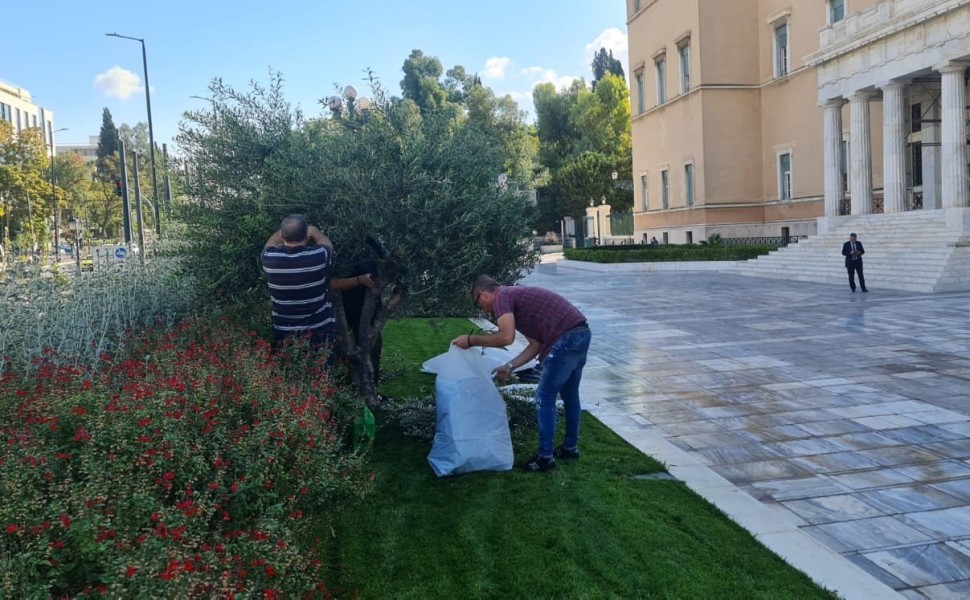 ΛΙομάζωμα έξω από τη Βουλή