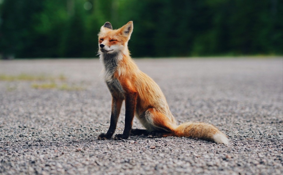 φωτο αρχείου unsplash