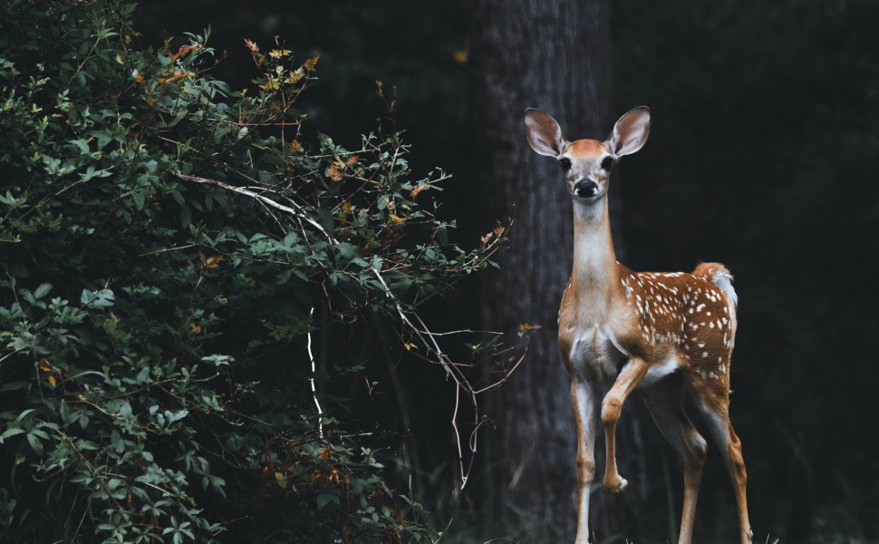 φωτο αρχείου unsplash