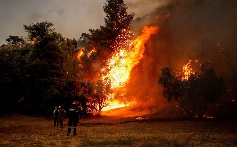 Φωτογραφία αρχείου. ΔΗΜΗΤΡΟΠΟΥΛΟΣ ΣΩΤΗΡΗΣ/EUROKINISSI