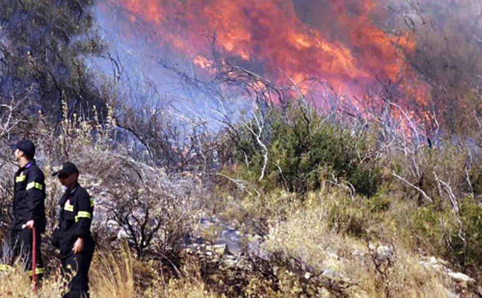 Φωτογραφία αρχείου. Εικόνα από τη φωτιά στην Αργολίδα (φωτο: ΑΠΕ-ΜΠΕ/ΜΠΟΥΓΙΩΤΗΣ ΕΥΑΓΓΕΛΟΣ)