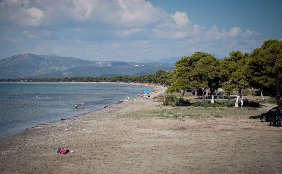 Παρλία Σχινιάς / eurokonissi