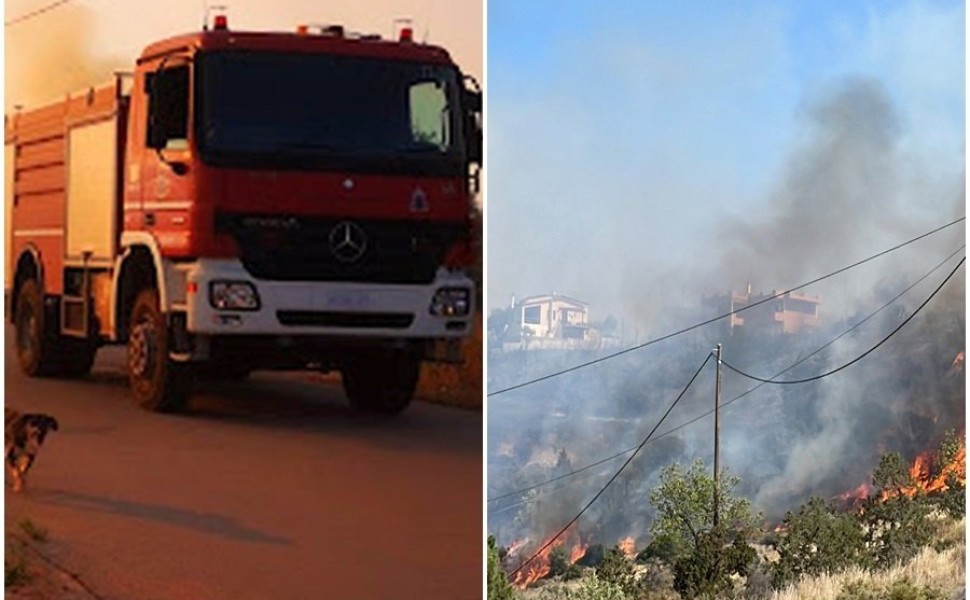 Πύρινα μέτωπα σε Αργολίδα, Αχαϊα και Ηλεία / Φωτ Intime