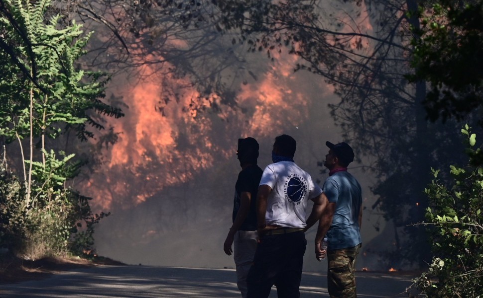 Φωτιά στη Σταμάτα Αττικής / Eurokinissi