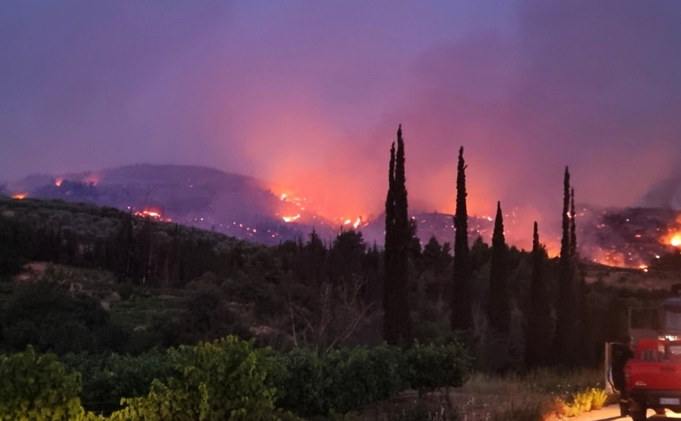 Φωτογραφία από το μέτωπο της φωτιάς / ΑΠΕ-ΜΠΕ