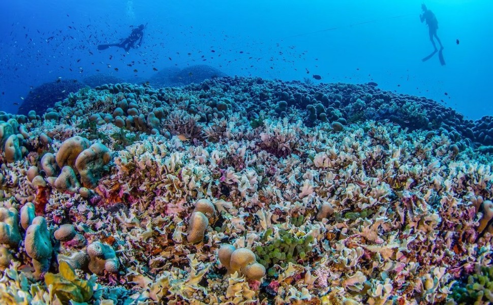 Manu San Félix, National Geographic