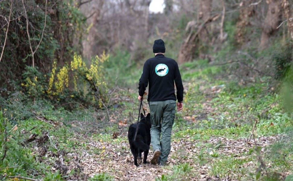 Στιγμιότυπο από τις έρευνες στον Πηνειό για τον 39χρονο Βασίλη Καλογήρου/INTIME