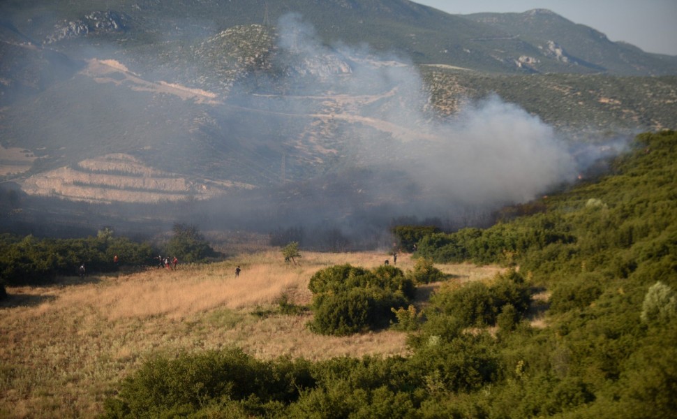 Αναζωπύρωση της πυρκαγιάς στην Λαμία στο πίσω μέρος του Αφανού, Πέμπτη 27 Ιουλίου 2023. 
(ΝΑΣΟΣ ΣΙΜΟΠΟΥΛΟΣ/EUROKINISSI)